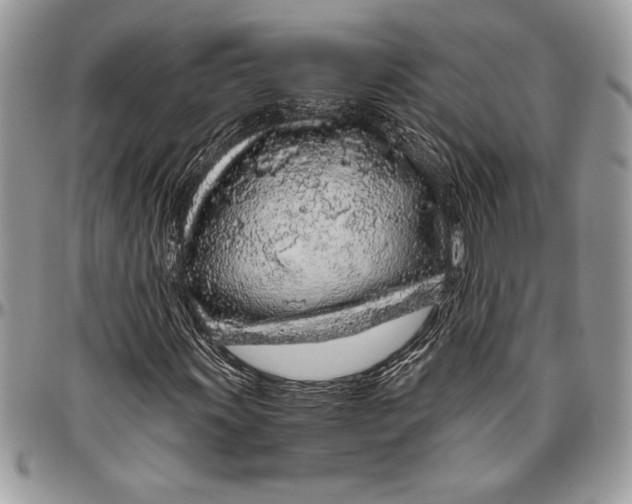 X0000096421011200802141629