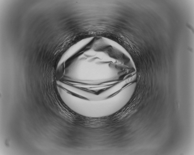 X0000096421012200802141629