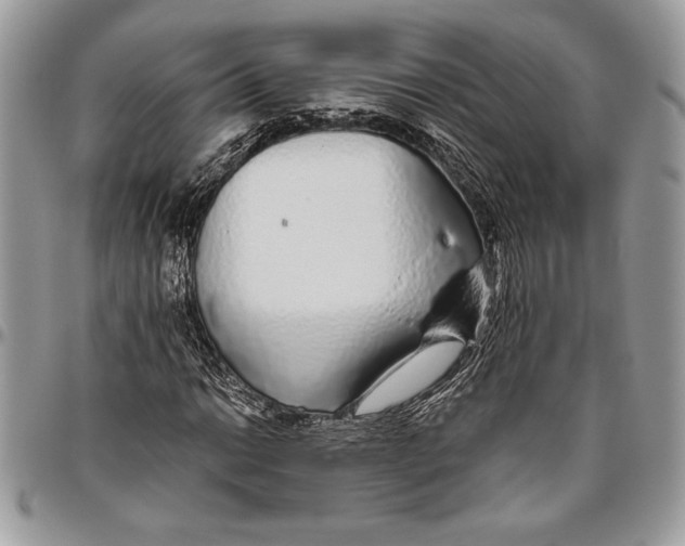 X0000096421014200802141629