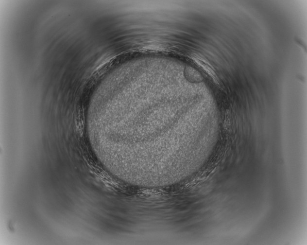 X0000096421015200802141629