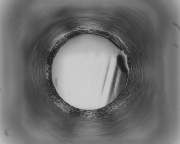 X0000096421016200802141629