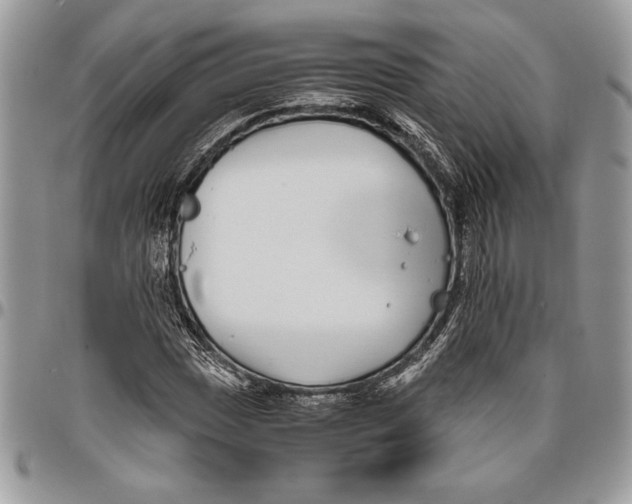 X0000096421017200802141629