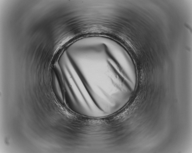 X0000096421018200802141629