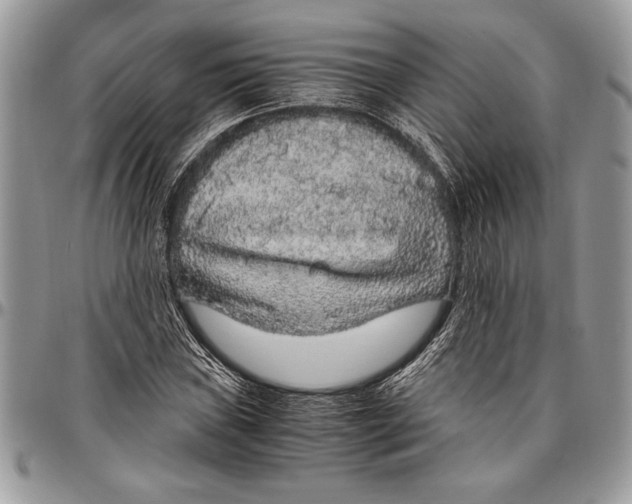 X0000096421019200802141629