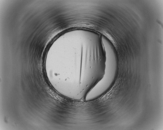 X0000096421020200802141629