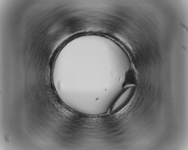 X0000096421021200802141629