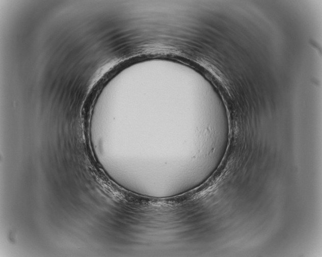 X0000096421022200802141629