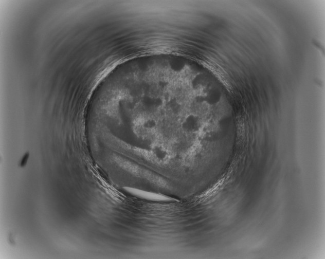 X0000096421023200802141629