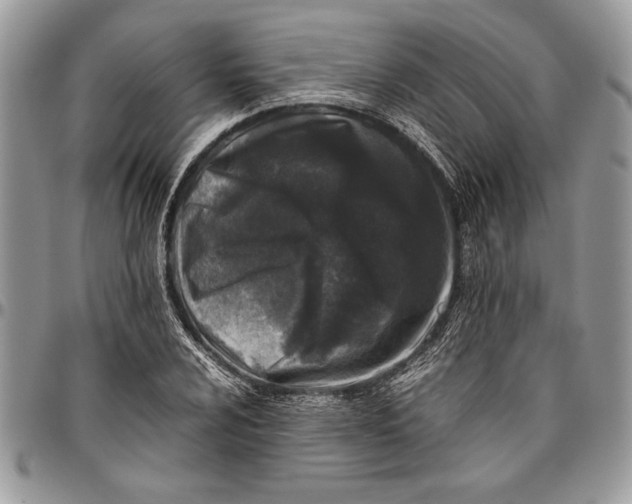 X0000096421024200802141629