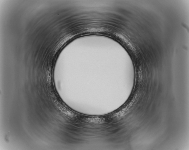 X0000096421025200802141629