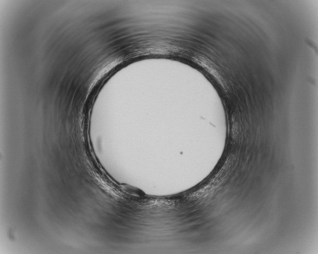 X0000096421026200802141629