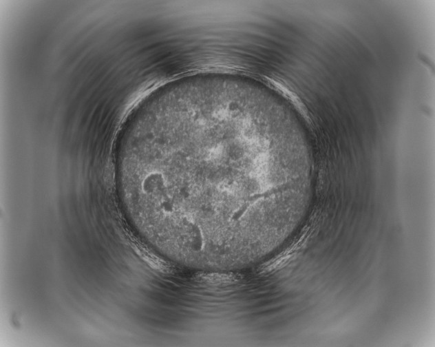 X0000096421027200802141629