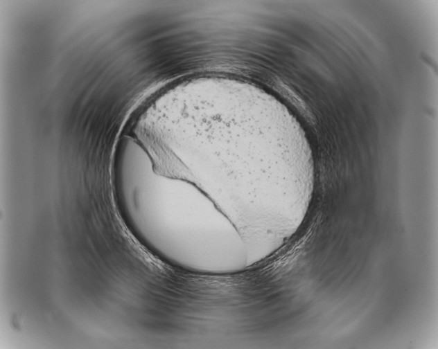 X0000096421028200802141629