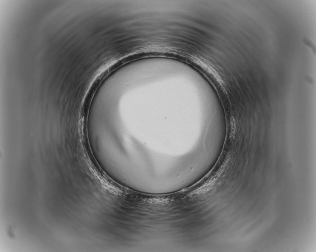 X0000096421029200802141629