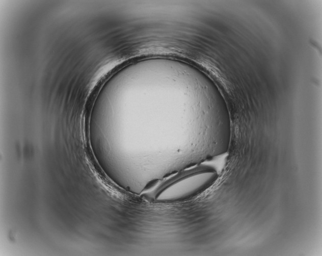 X0000096421030200802141629