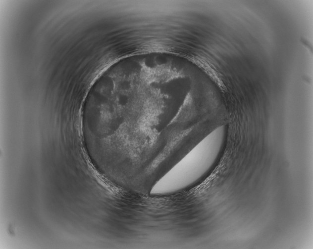 X0000096421031200802141629