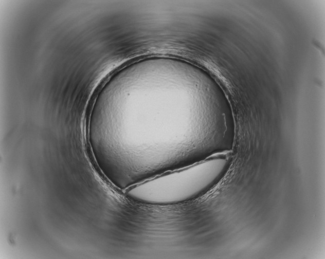 X0000096421032200802141629