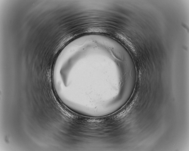 X0000096421033200802141629