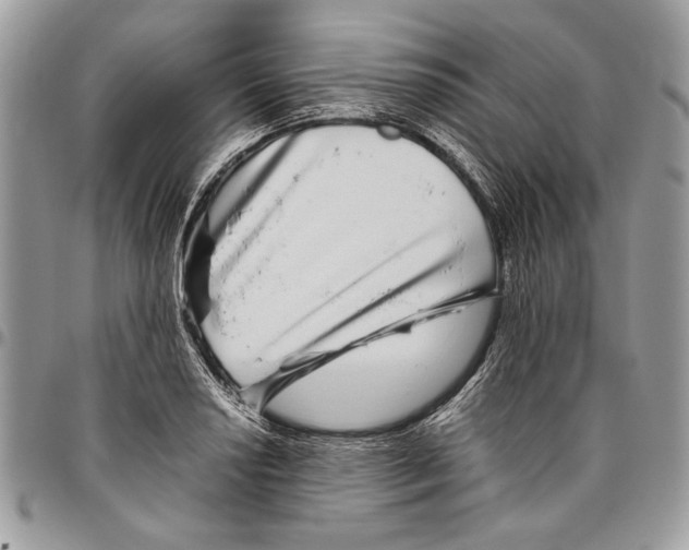 X0000096421034200802141629