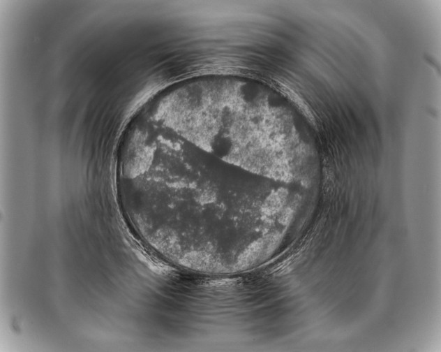 X0000096421035200802141629