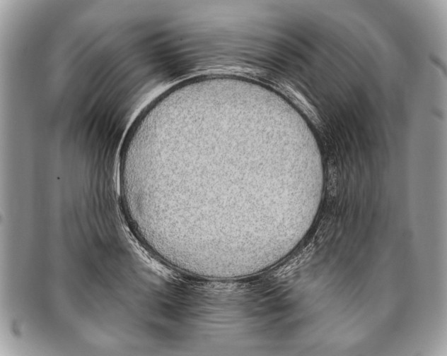 X0000096421036200802141629