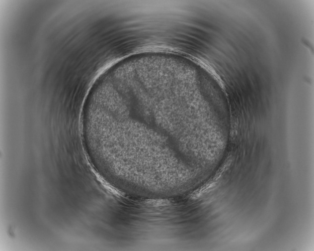 X0000096421037200802141629