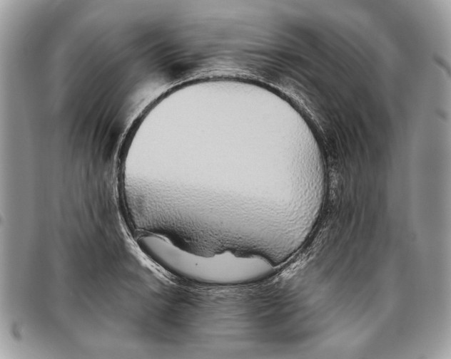 X0000096421038200802141629