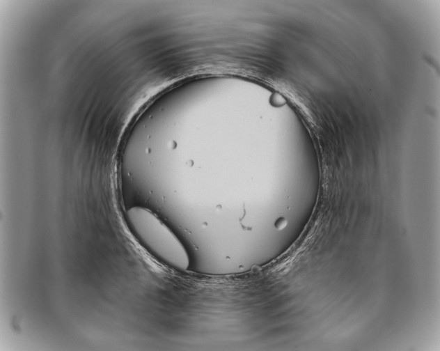 X0000096421040200802141629