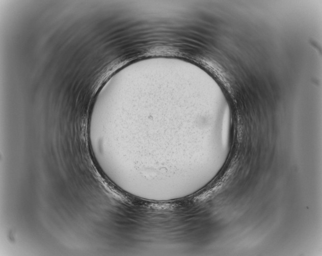 X0000096421041200802141629