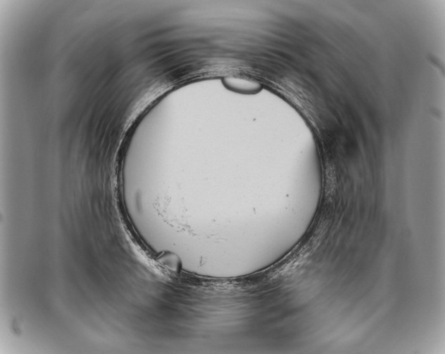 X0000096421042200802141629