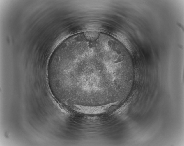 X0000096421043200802141629