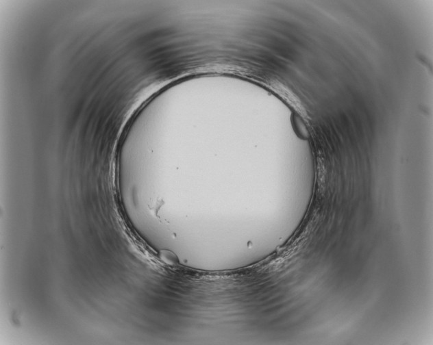 X0000096421044200802141629