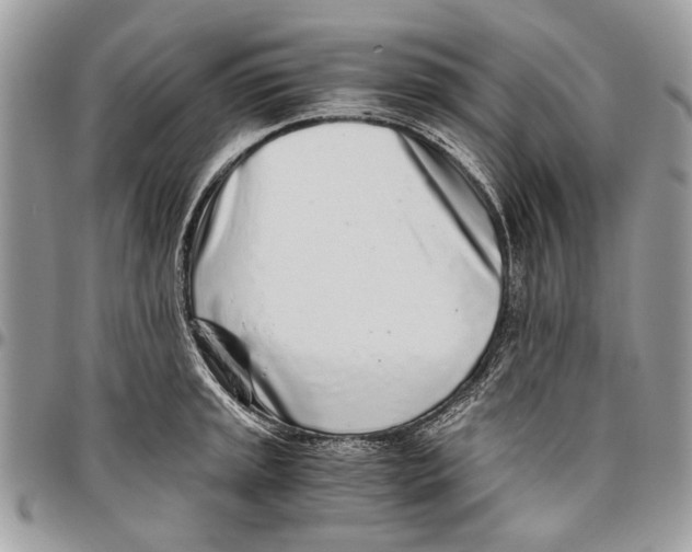 X0000096421045200802141629