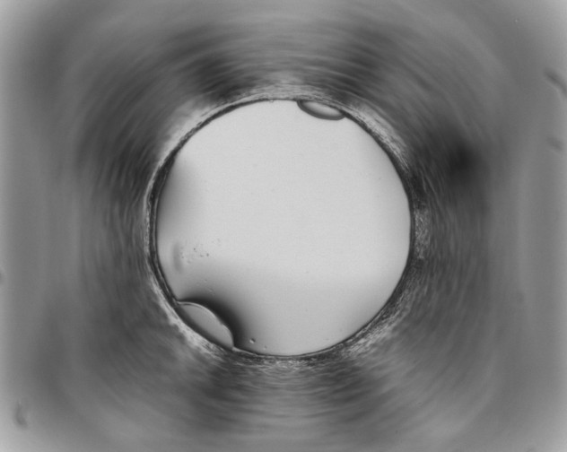 X0000096421046200802141629