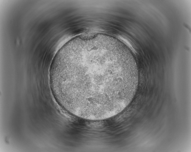 X0000096421047200802141629