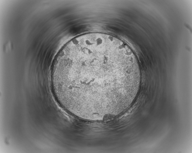 X0000096421048200802141629