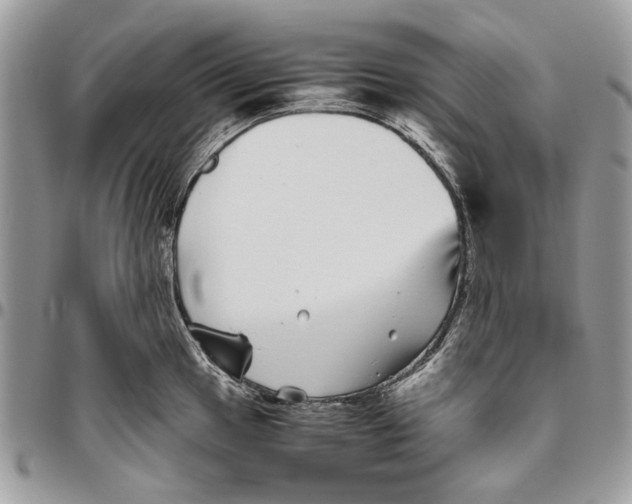 X0000096421049200802141629