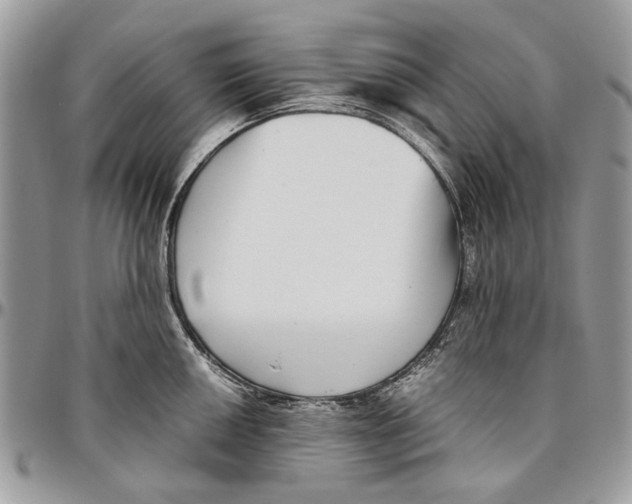 X0000096421050200802141629