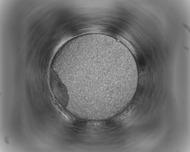 X0000096421051200802141629