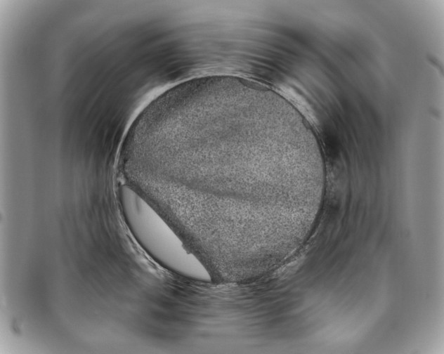 X0000096421052200802141629