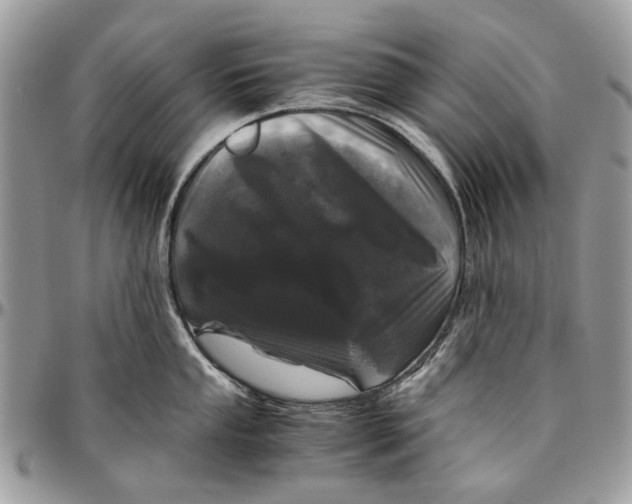 X0000096421053200802141629