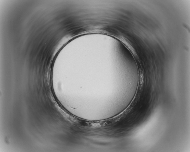 X0000096421054200802141629