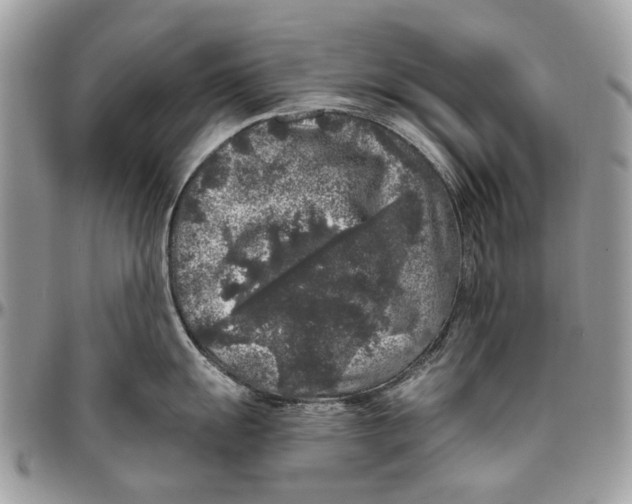 X0000096421055200802141629