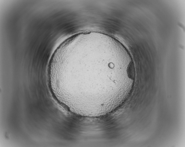 X0000096421056200802141629