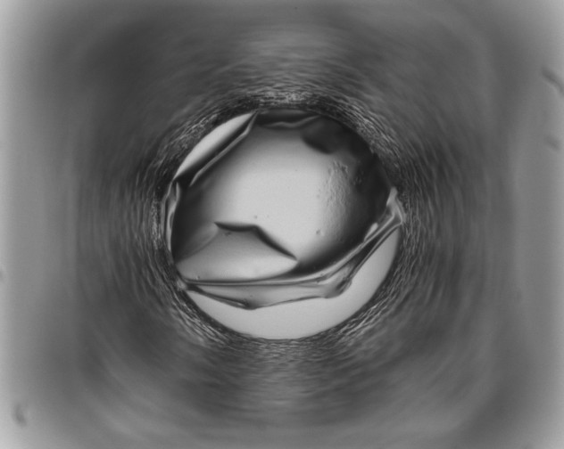 X0000096421058200802141629