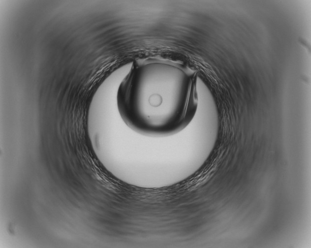 X0000096421060200802141629