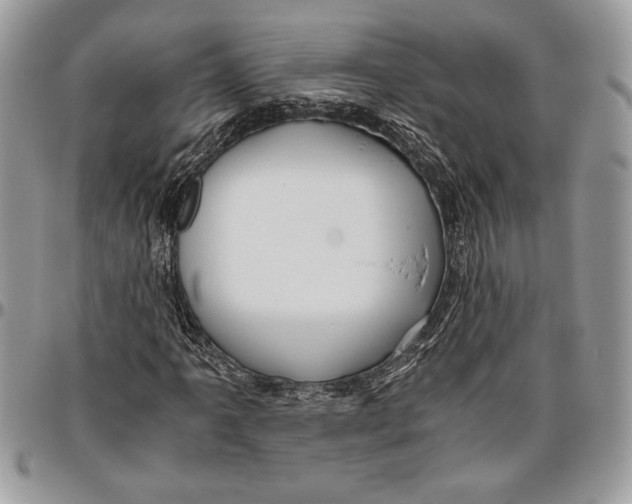 X0000096421061200802141628