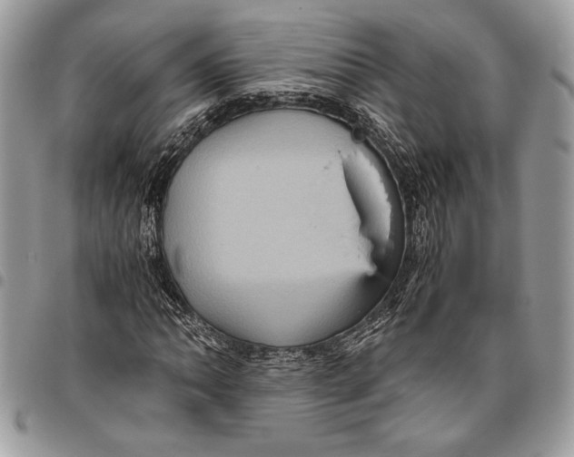 X0000096421062200802141628