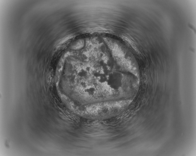 X0000096421063200802141628