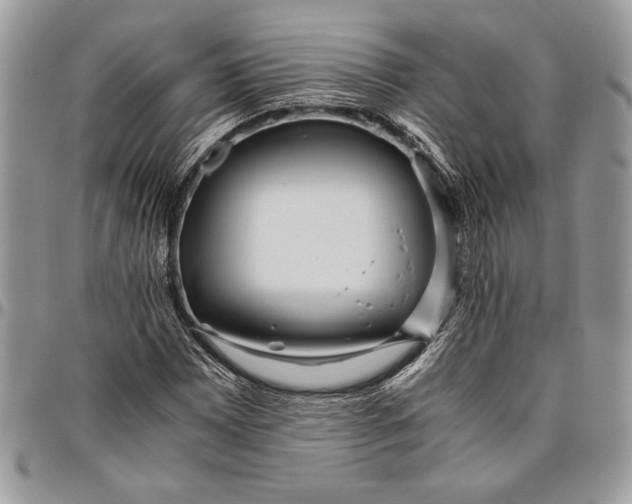 X0000096421065200802141628